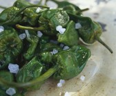 Chilischoten
