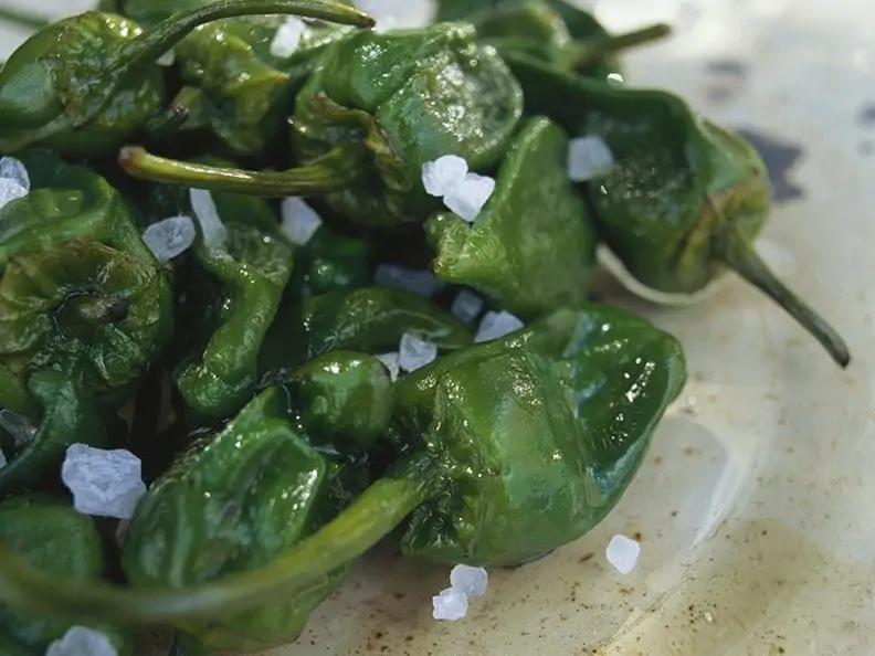 Chilischoten