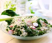 Spinatsalat