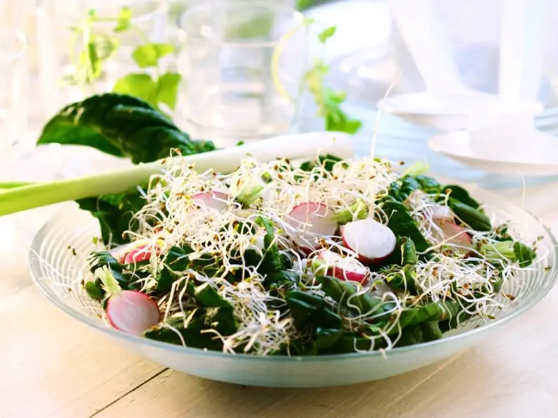 Spinatsalat
