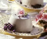 Joghurt Panna Cotta