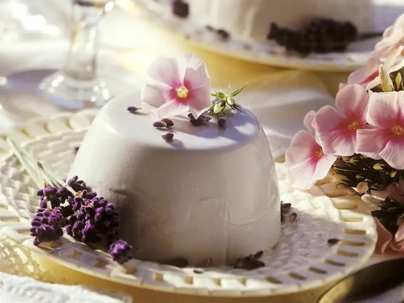 Joghurt Panna Cotta