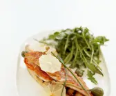 Rotbarte mit Rucola
