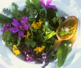 Wildkräutersalat