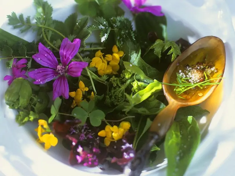 Wildkräutersalat