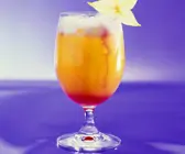Bacardi Cocktail