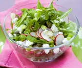 Rucola-Radieschensalat