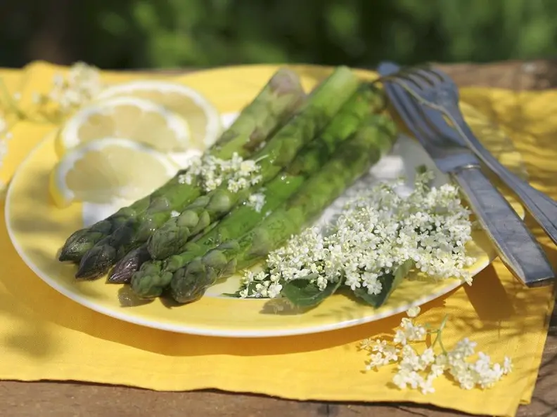 Spargel mit Holunderdressing