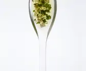 Kräutervinaigrette