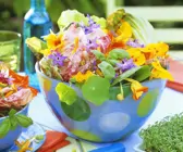 Blattsalat mit bunten Essblüten