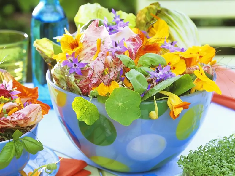 Blattsalat mit bunten Essblüten