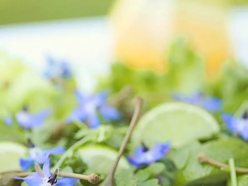 Rucolasalat mit Borretschblüten