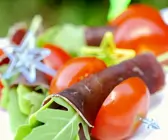 Bündner Fleisch-Spießchen