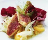 Rotbarbe mit fruchtigem Fenchelsalat