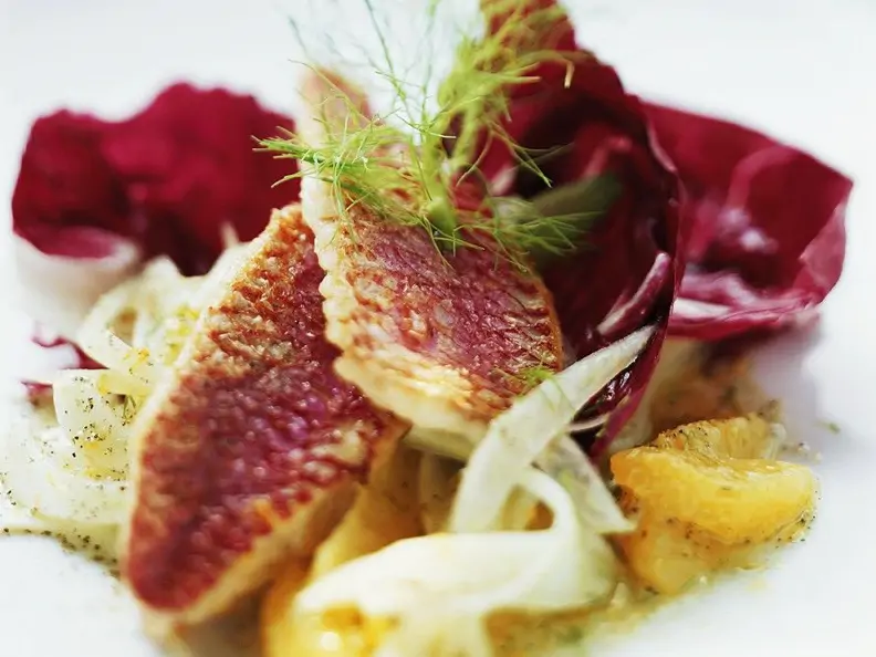 Rotbarbe mit fruchtigem Fenchelsalat