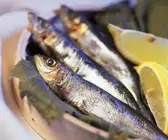 Sardinen mit eingelegten Weinblättern