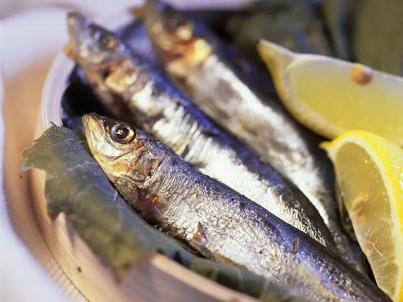 Sardinen mit eingelegten Weinblättern