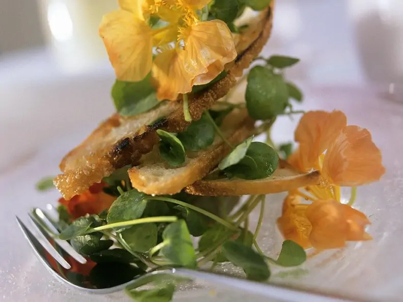 Kressesalat mit Brotchips