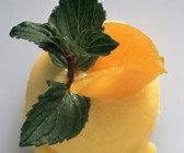 Aprikosensorbet