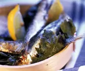 Sardinen im Weinblatt gegrillt