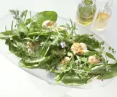 Kräutersalat mit Muscheln