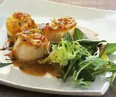 Gebratene Jakobsmuscheln mit Blattsalat