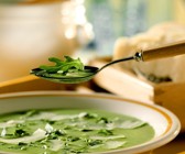 Rucolacremesuppe