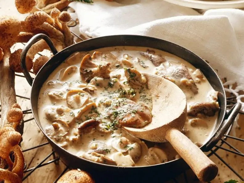 Hallimasch-Ragout