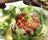 Thunfischtatar mit Portulak