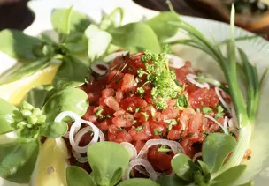 Thunfischtatar mit Portulak