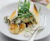 Jakobsmuscheln mit Pilz-Sahnesauce