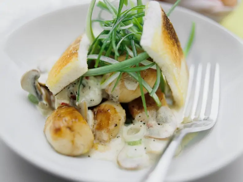 Jakobsmuscheln mit Pilz-Sahnesauce