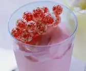 Johannisbeersorbet