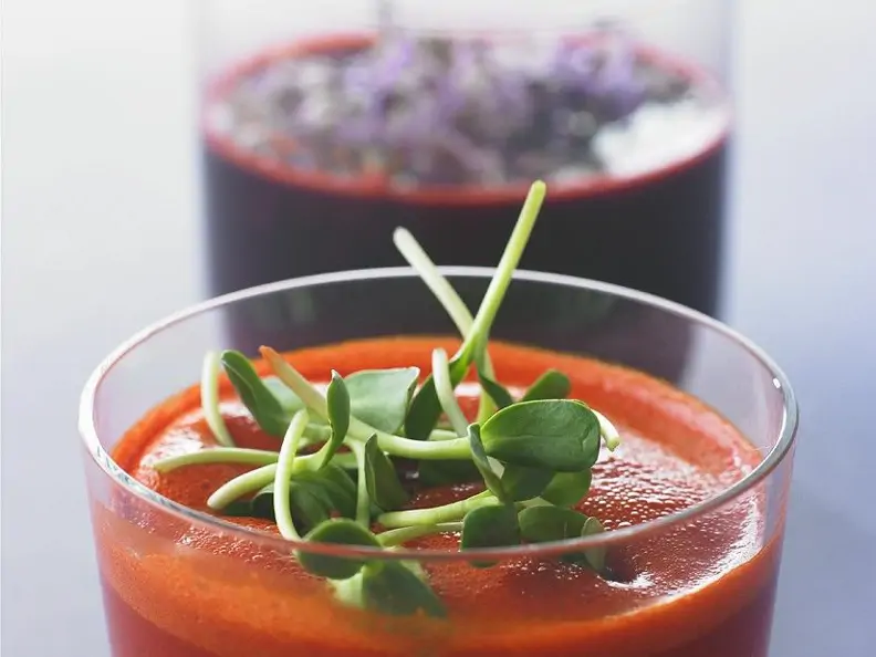Karotten-Rote-Beete-Saft und Tomatensaft mit Sprossen