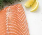 Lachsfilet, Dill und Zitronenschnitze (Draufsicht)