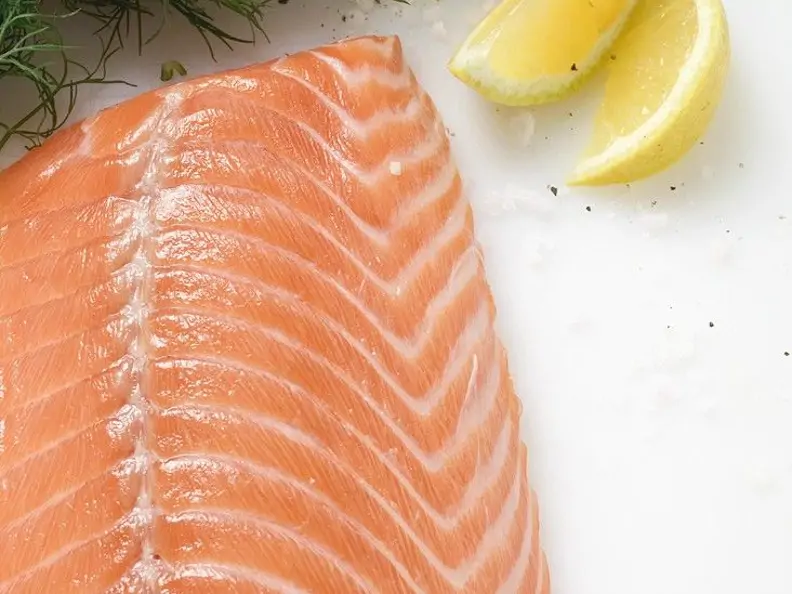Lachsfilet, Dill und Zitronenschnitze (Draufsicht)
