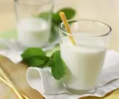 Zwei Gläser Kefir und frische Zitronenmelisse