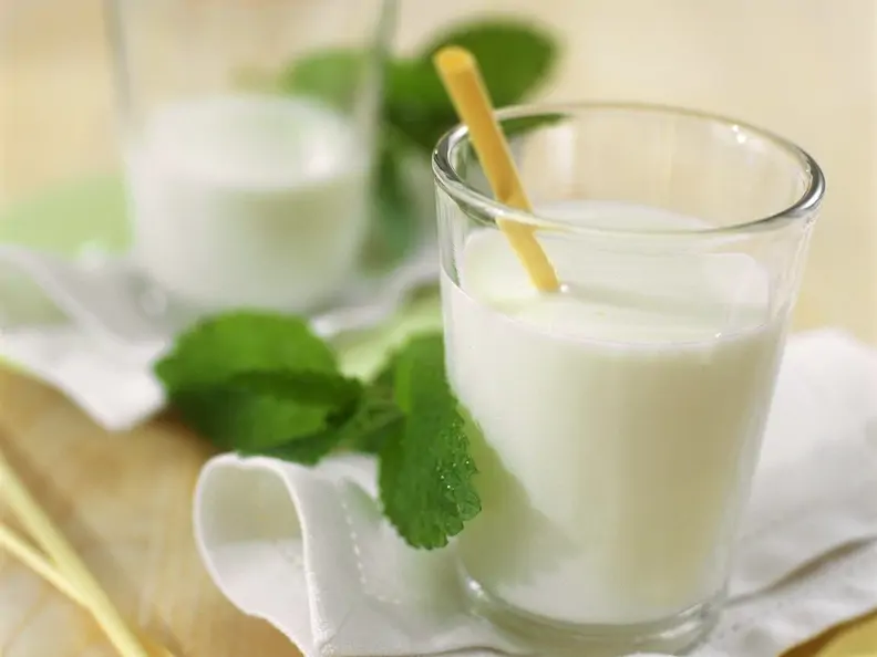 Zwei Gläser Kefir und frische Zitronenmelisse