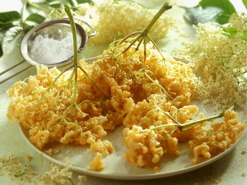 Hollerküchle (frittierte Holunderblüten)