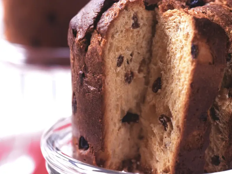 Panettone