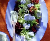 Blattsalat mit Ricotta und Kartoffeldressing