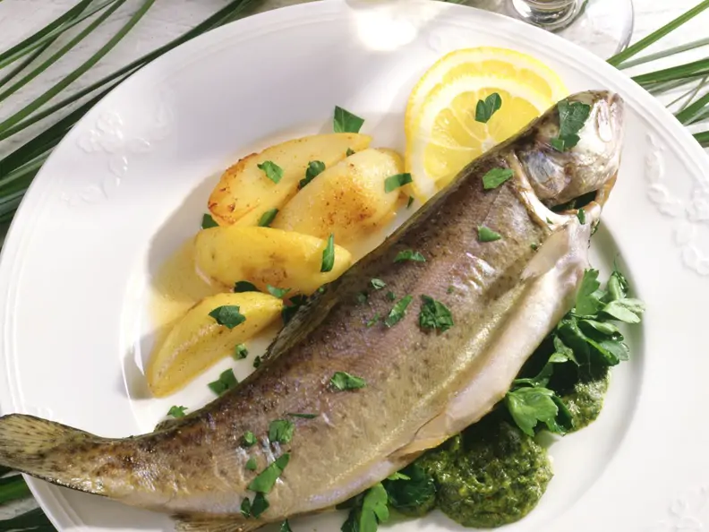 Backofenforelle mit Kräuter-Pesto