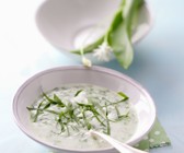 Geschäumte Kartoffel-Joghurtsuppe mit Bärlauch