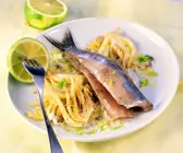 Matjesfilets auf Limetten-Fenchel