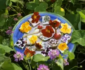 Frischkäse-Brothäppchen mit Essblüten