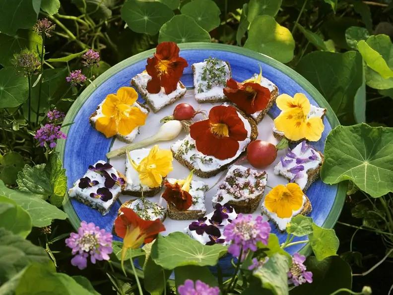 Frischkäse-Brothäppchen mit Essblüten