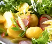 Friseesalat mit Kartoffeln und Radieschen