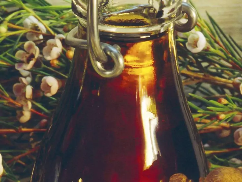 Pilzsauce