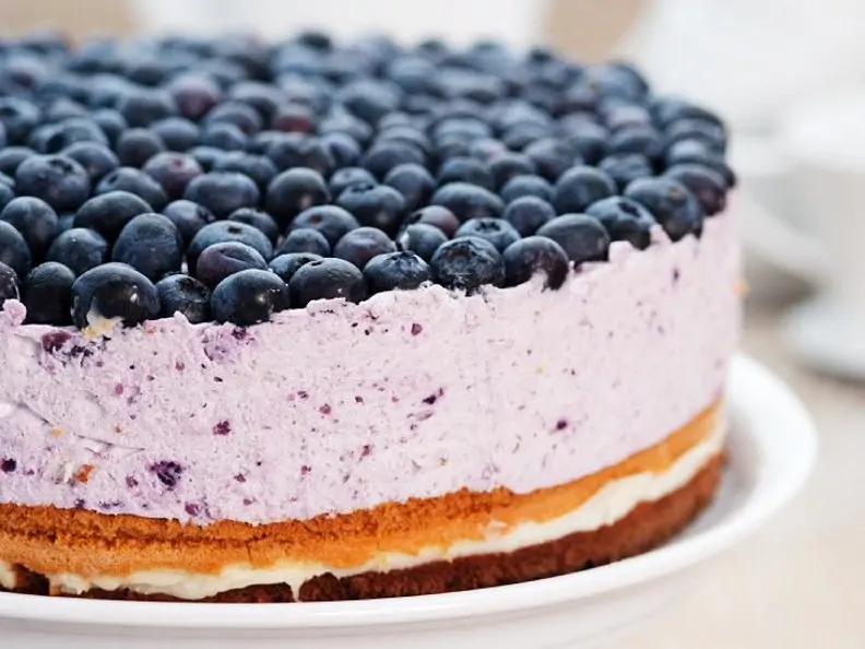 Käse-Blaubeerkuchen
