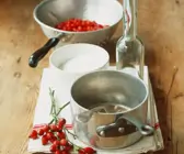 Hagebuttensirup